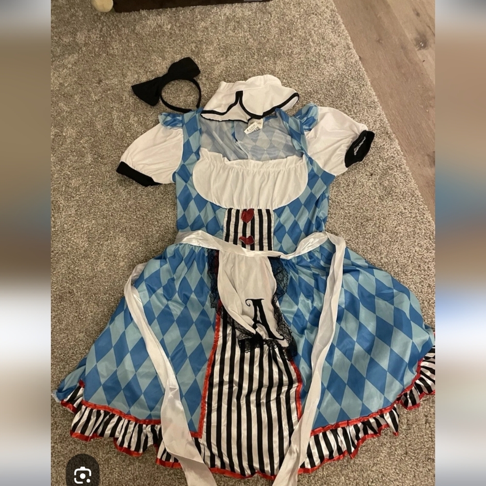 Alice In Wonderland Costume Size Medium